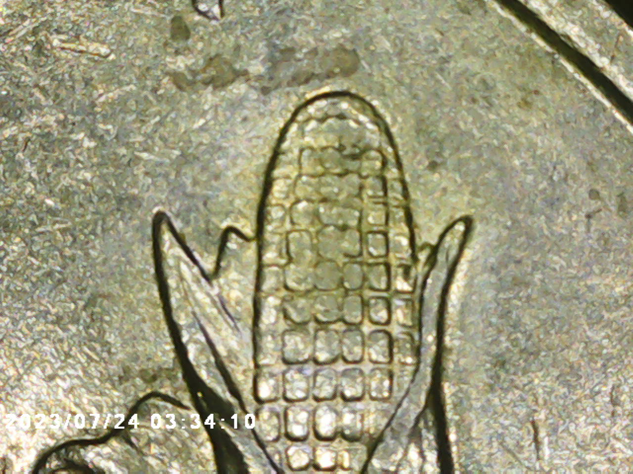 2004-D-Wisconsin-Quarter-Extra-Extra-Leaf?